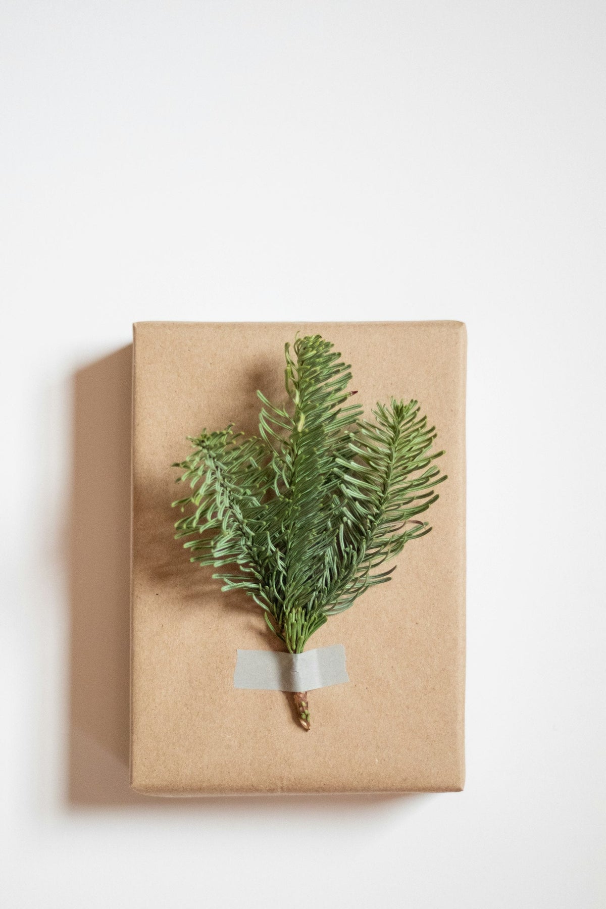 A gift wrapped in kraft paper